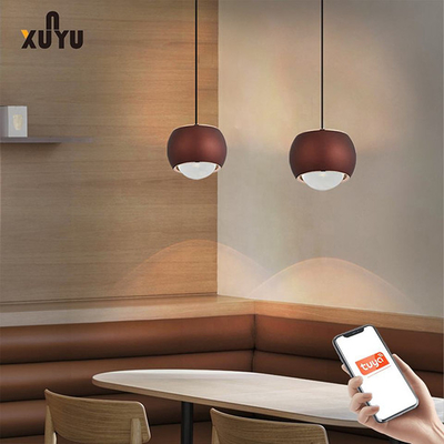 Lámparas pendientes de la esfera de la luz 8W 6000K del colgante de XUNYU LED